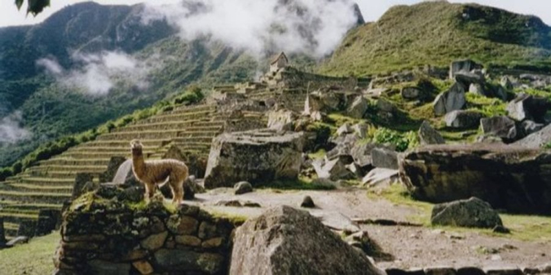 Екскурс у давнину. У Перу знайшли поховання, зведене до імперії інків