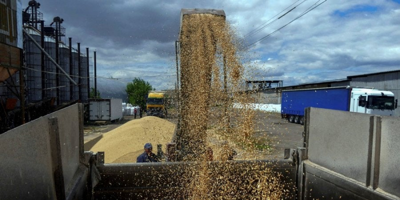 П’ять країн ЄС виступили проти плану України щодо обмежень на експорт зерна — ЗМІ