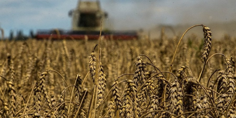 Росія з липня знищила 280 000 тонн українського зерна у портах